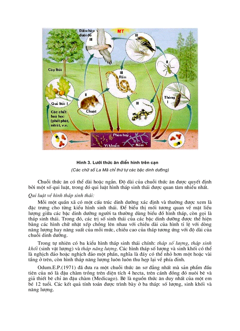 image for page Quần xã sinh vật