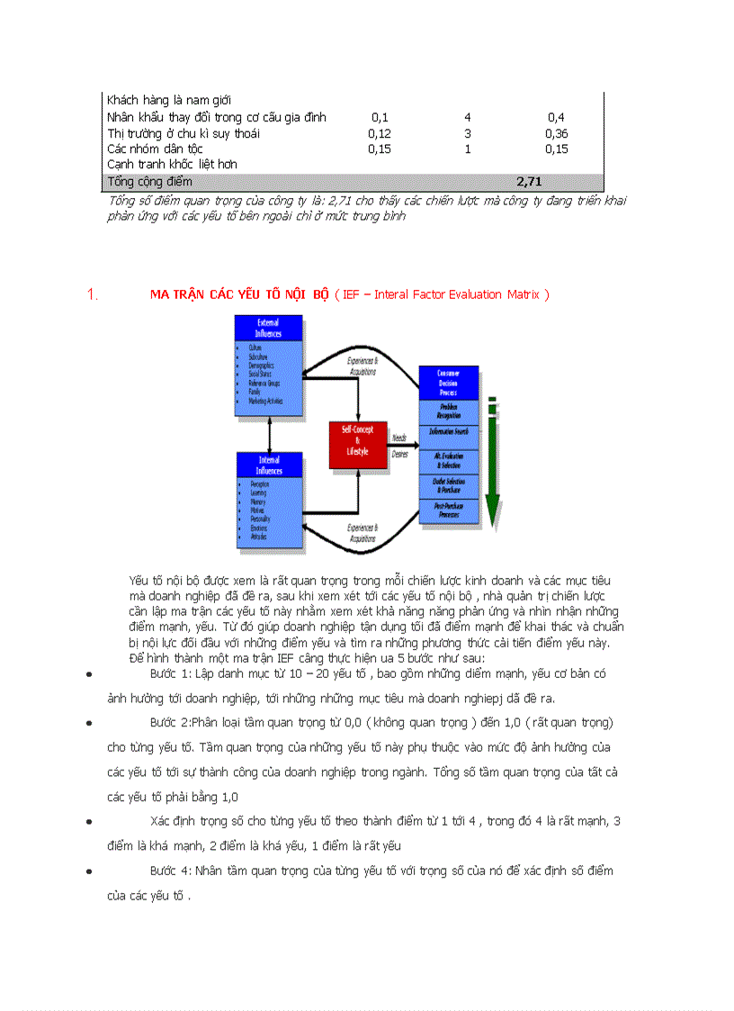 image for page Ma trận EFE và IFE