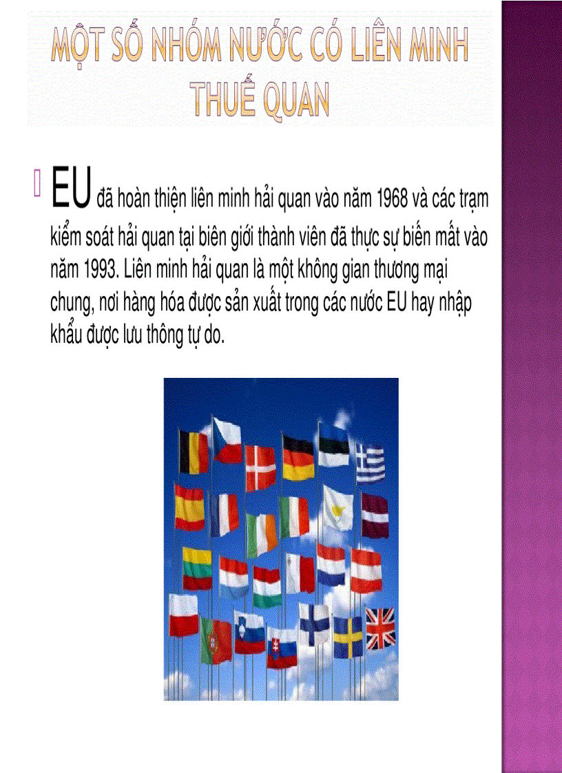 image for page Liên minh thuế quan