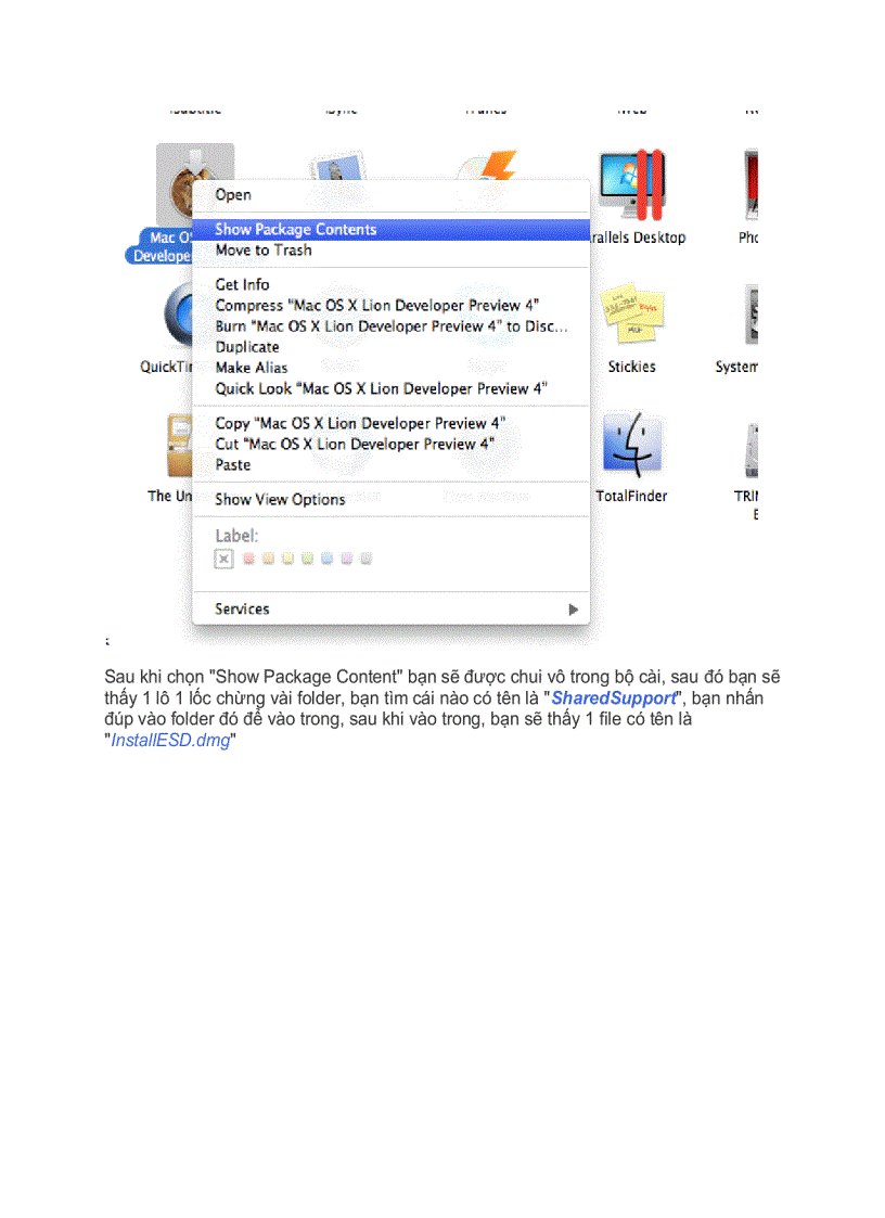 image for page Hướng dẫn tạo đĩa cài đặt Lion cả DVD lẫn USB