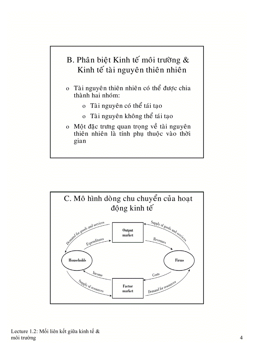 image for page Liên kết giữa kinh tế và môi trường
