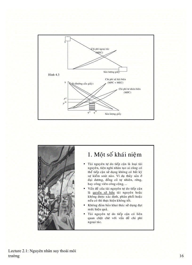 image for page Nguyên nhân suy thoái môi trường