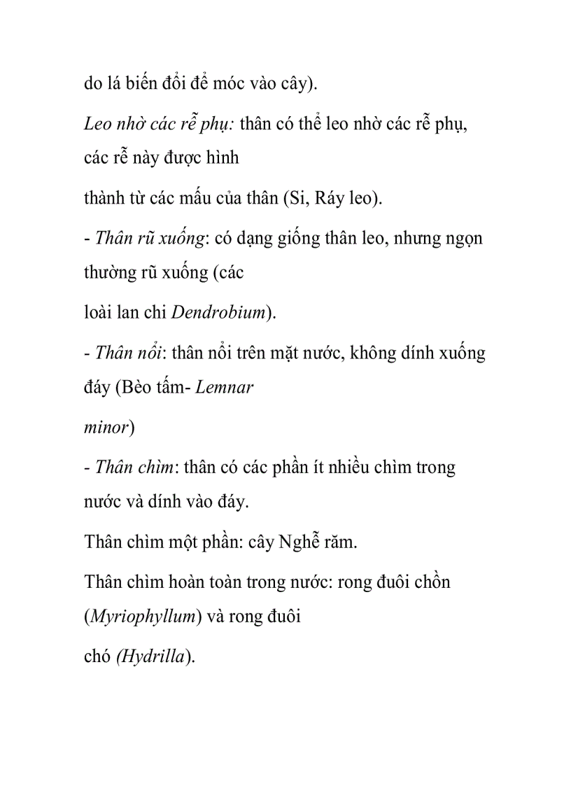 image for page Các dạng thân trong không gian