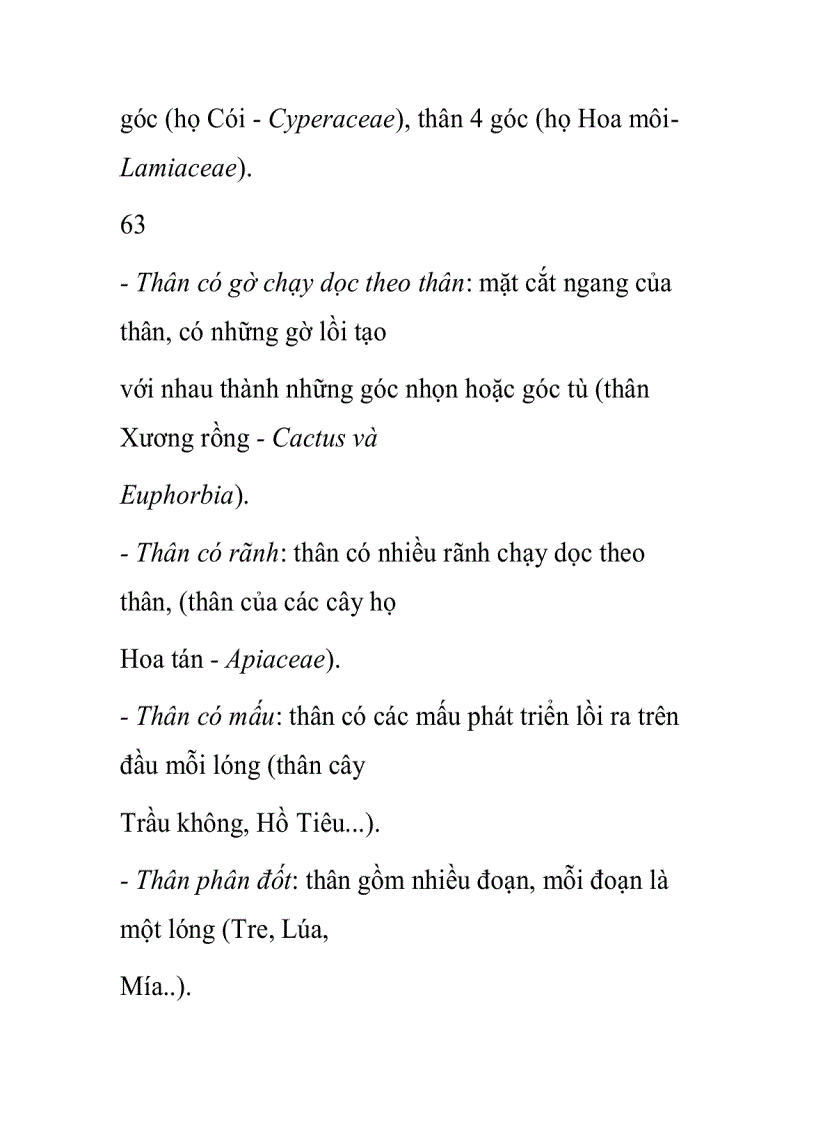 image for page Các dạng thân trong không gian