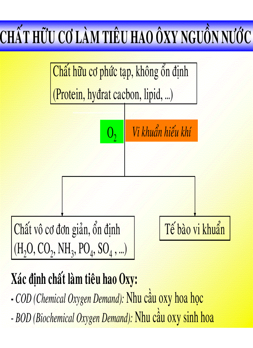 image for page Công nghệ cao su Ô NHIỄM MÔI TRƯỜNG DO CÔNG NGHIỆP CHẾ BIẾN CSTN