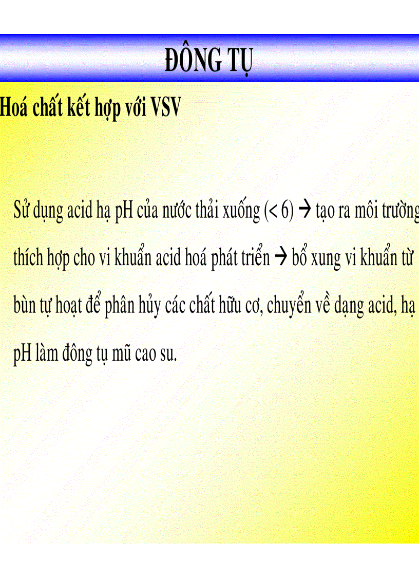 image for page Công nghệ cao su Ô NHIỄM MÔI TRƯỜNG DO CÔNG NGHIỆP CHẾ BIẾN CSTN