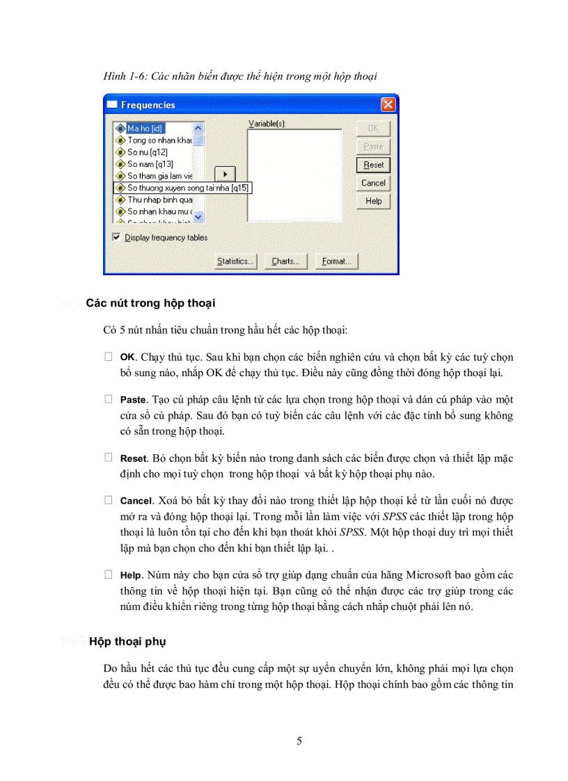 image for page Hướng dẫn làm quen sử dụng spss để phân tích dữ liệu