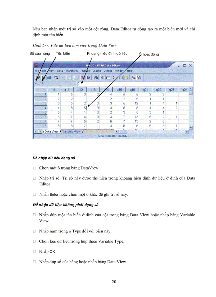 image for page Hướng dẫn làm quen sử dụng spss để phân tích dữ liệu