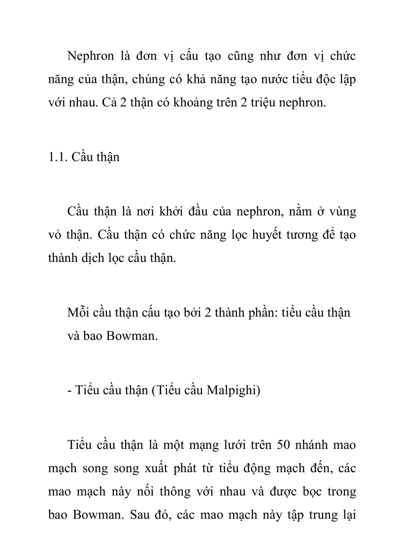 Đặc điểm cấu trúc chức năng của thận