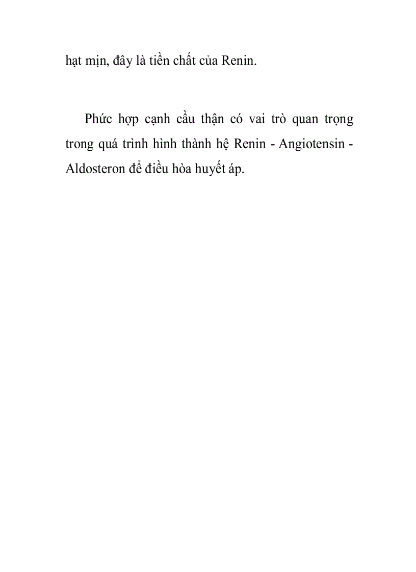 image for page Đặc điểm cấu trúc chức năng của thận