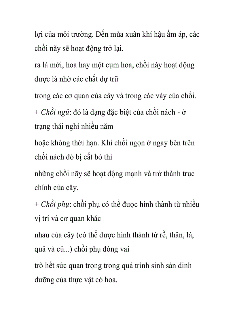 image for page Thân cây