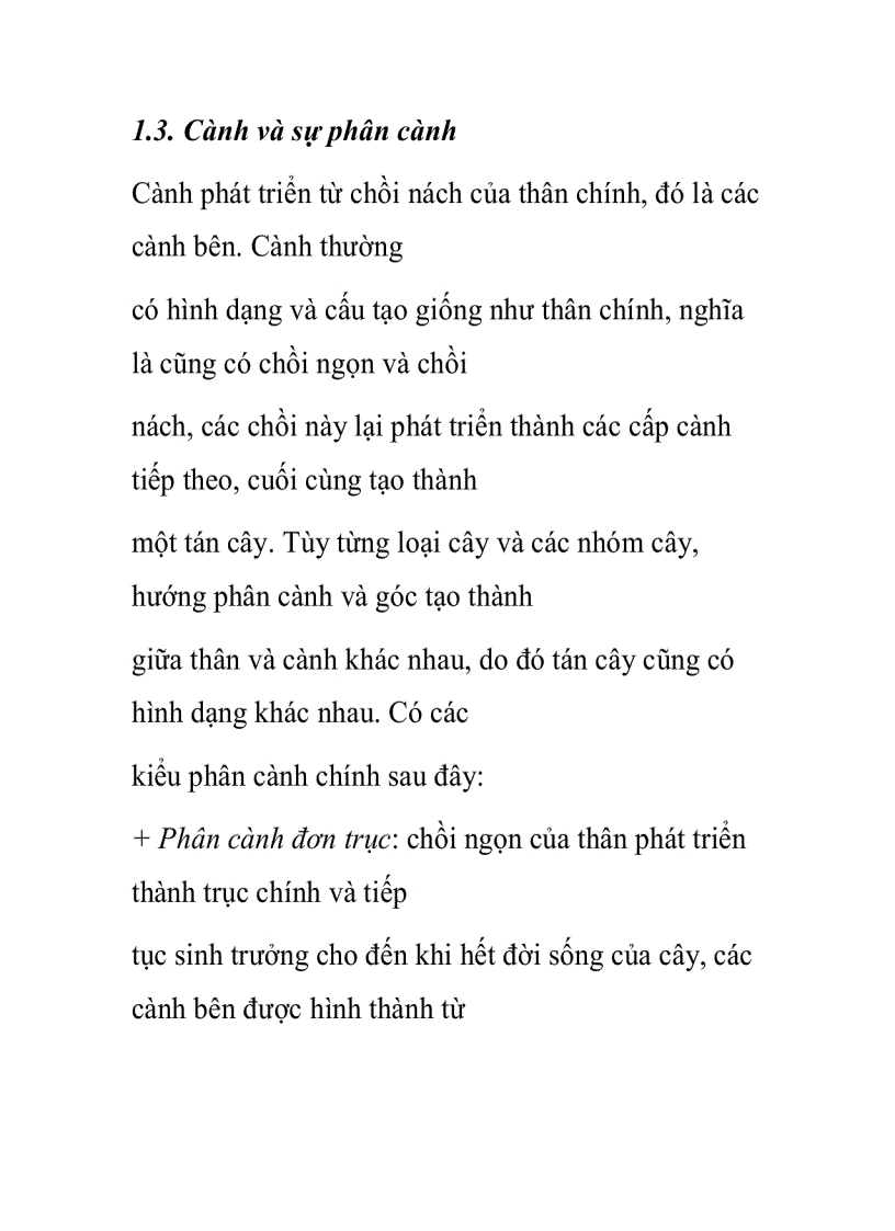 image for page Thân cây