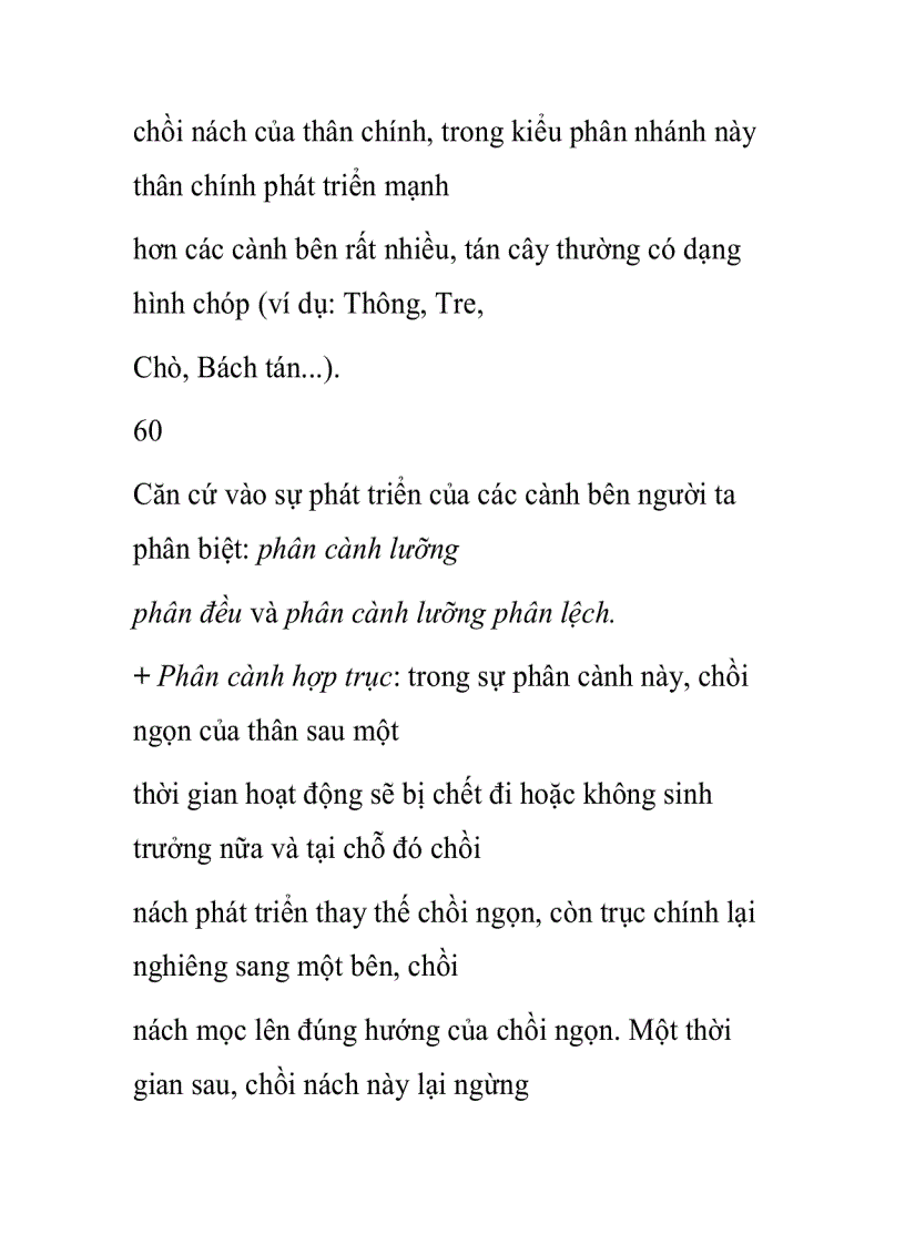 image for page Thân cây