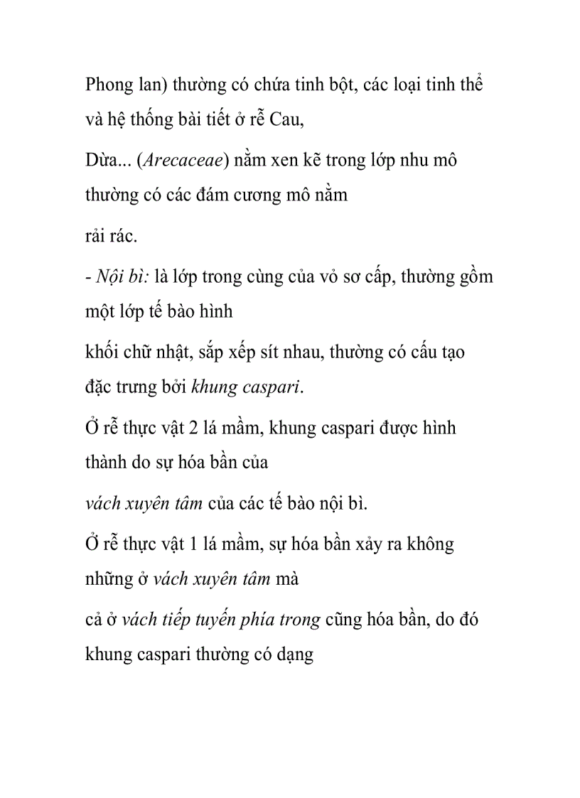 image for page Cấu tạo giải phẫu của rễ cây