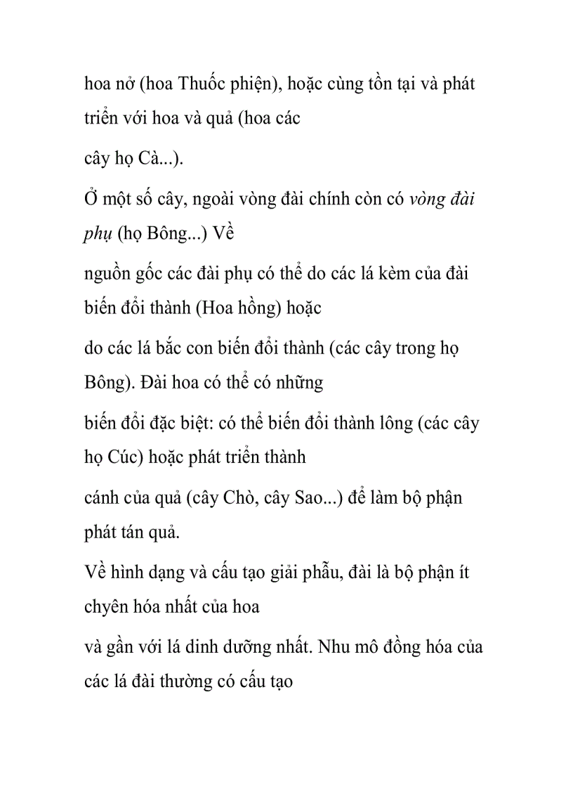 image for page Cấu tạo các thành phần của hoa