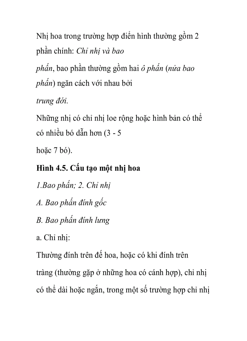 image for page Cấu tạo các thành phần của hoa