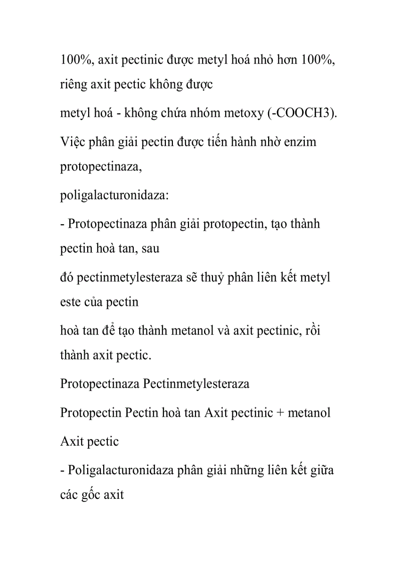 image for page Quá trình phân giải tinh bột