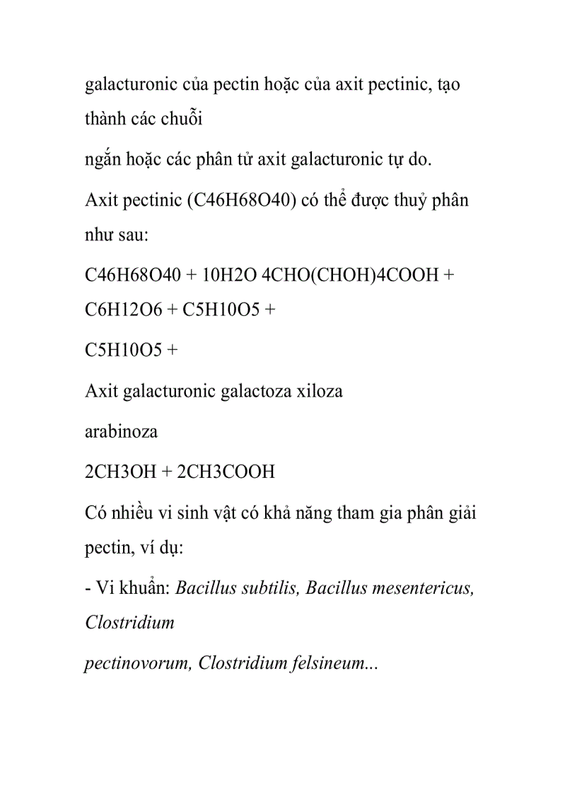 image for page Quá trình phân giải tinh bột