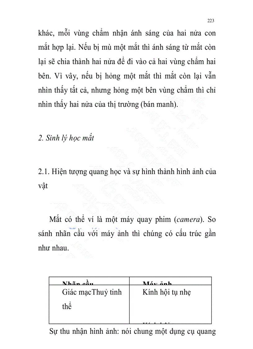 image for page Sinh lý học các cơ quan cảm giác