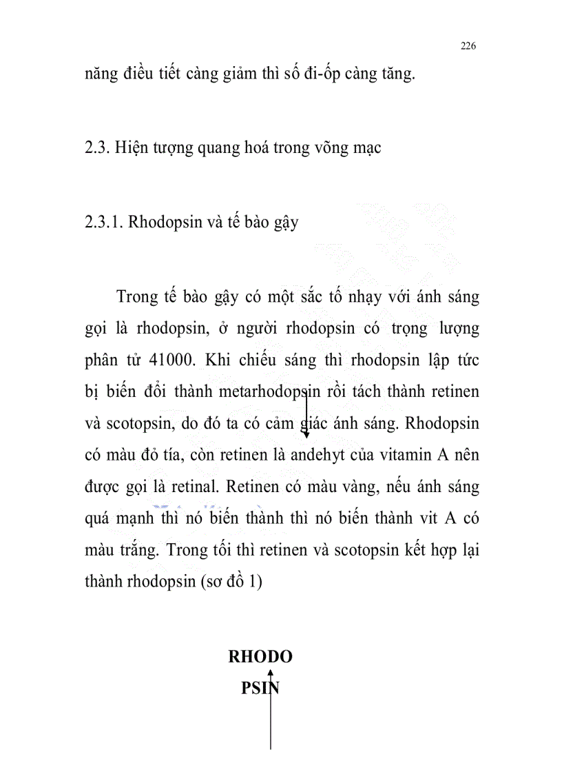 image for page Sinh lý học các cơ quan cảm giác