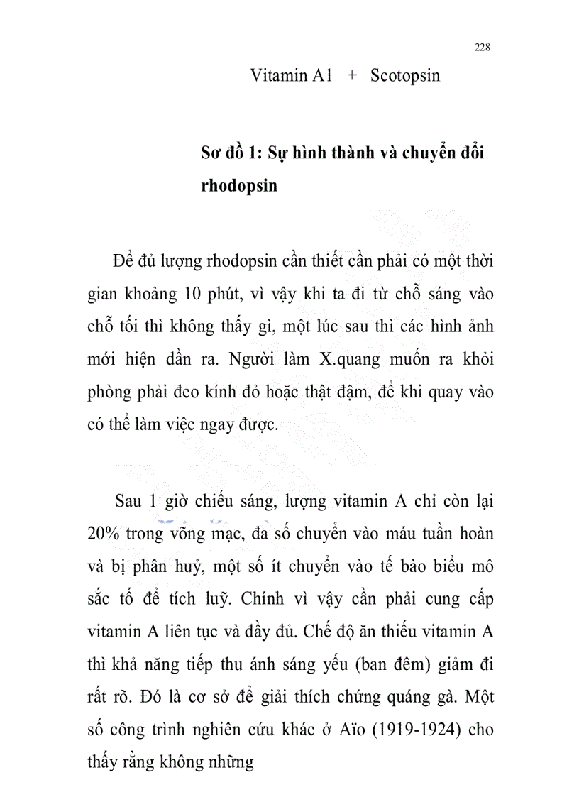 image for page Sinh lý học các cơ quan cảm giác