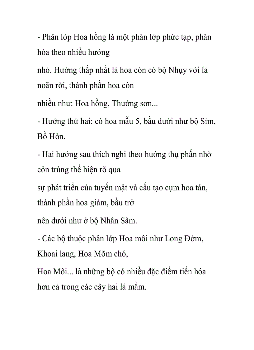 image for page Vài nét về nguồn gốc và sự tiến hóa của ngành Ngọc lan