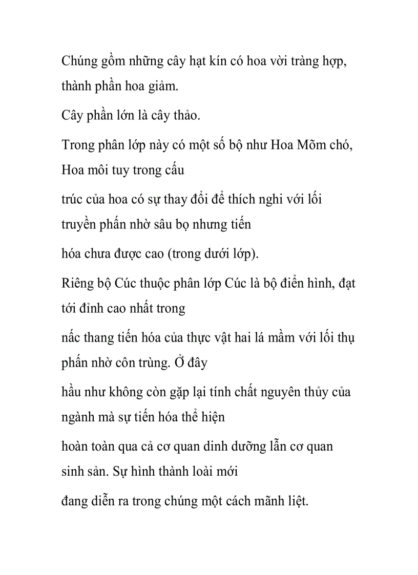 image for page Vài nét về nguồn gốc và sự tiến hóa của ngành Ngọc lan