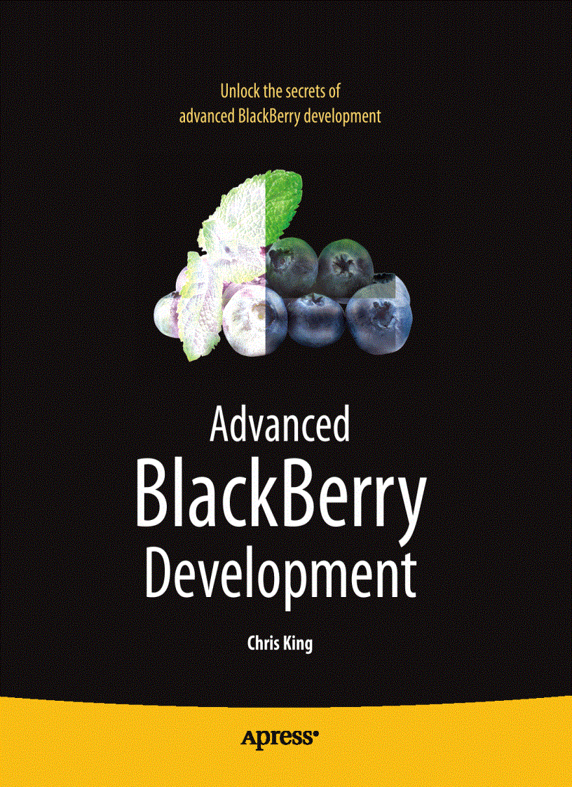 image for page Advanced BlackBerry Development