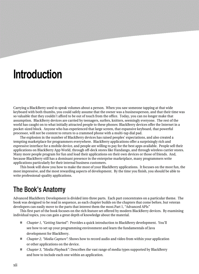 image for page Advanced BlackBerry Development