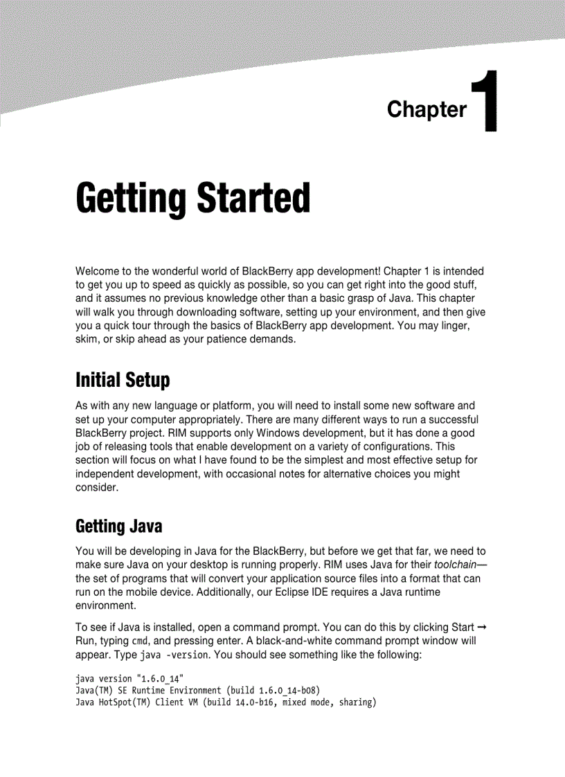 image for page Advanced BlackBerry Development