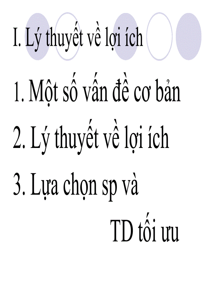 image for page Lí thuyết người tiêu dùng