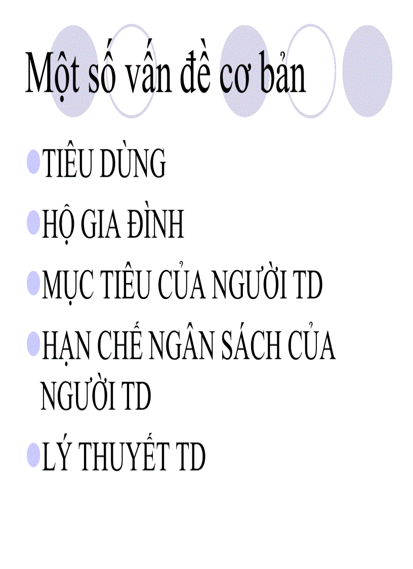 image for page Lí thuyết người tiêu dùng