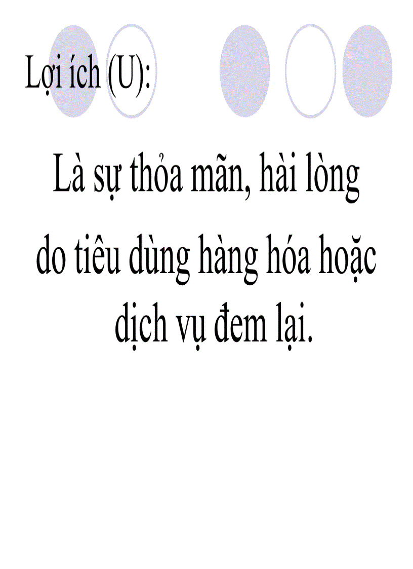 image for page Lí thuyết người tiêu dùng