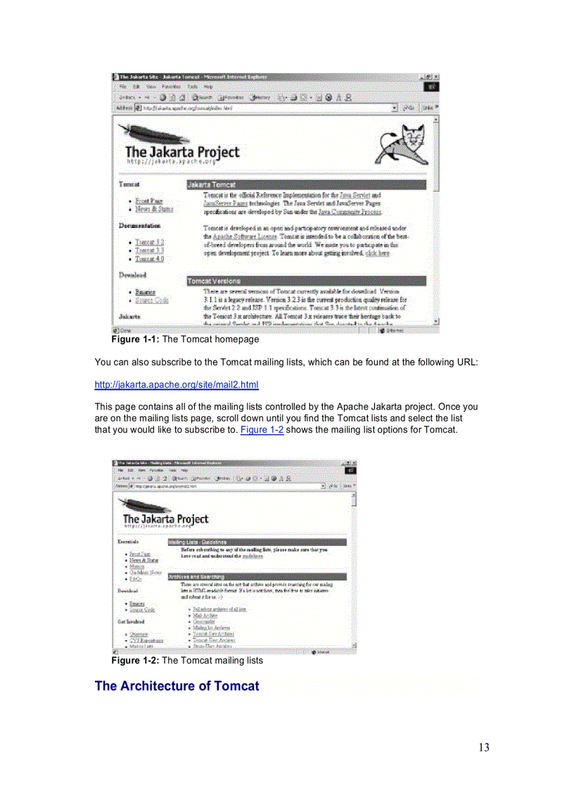 image for page Apache Jakarta Tomcat