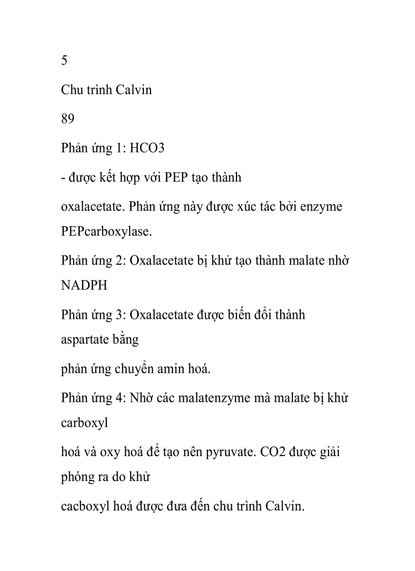 image for page Chu trình Hatch và Slack