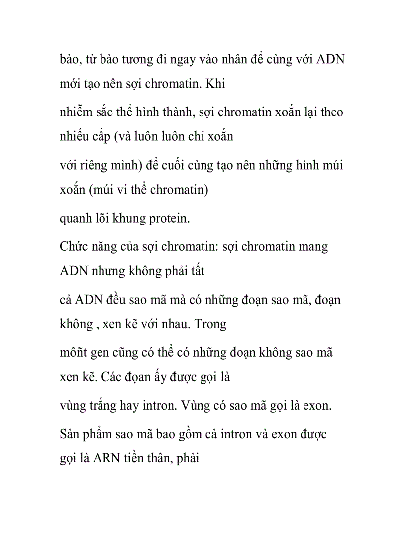 image for page Cấu trúc siêu vi thể của nhiễm sắc thể