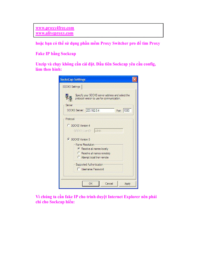 image for page Giáo trình tin học Hướng dẫn Fake IP