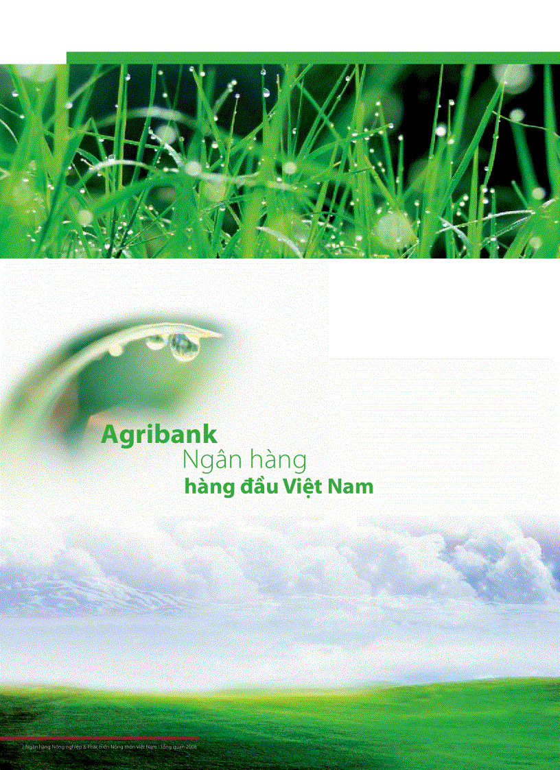 image for page Ngân hàng Nông nghiệp Phát triển Nông thôn Việt Nam