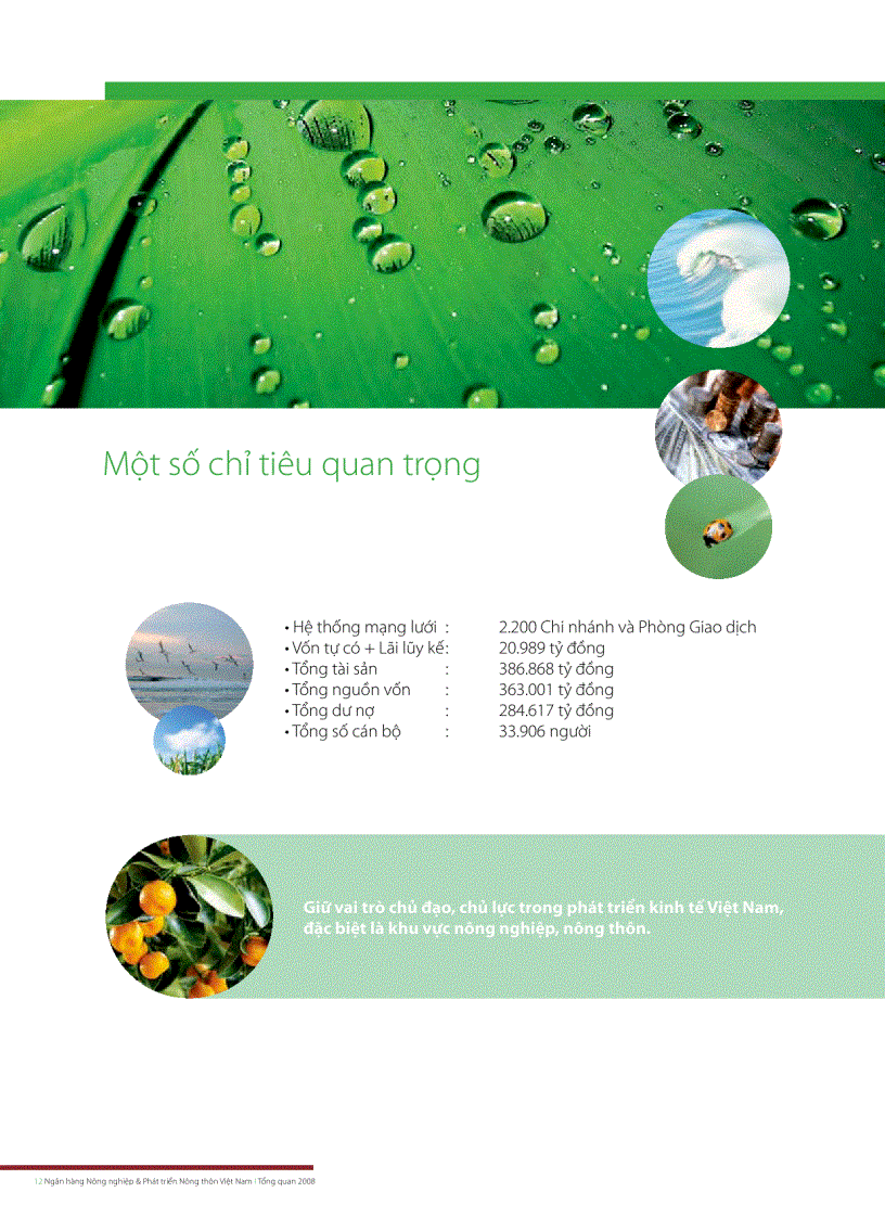 image for page Ngân hàng Nông nghiệp Phát triển Nông thôn Việt Nam