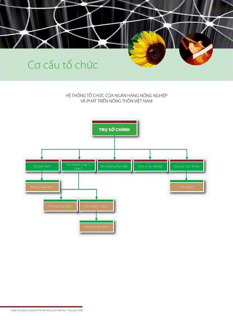 image for page Ngân hàng Nông nghiệp Phát triển Nông thôn Việt Nam