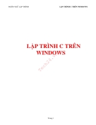 Lập trình C trên Windows Tiếng Việt