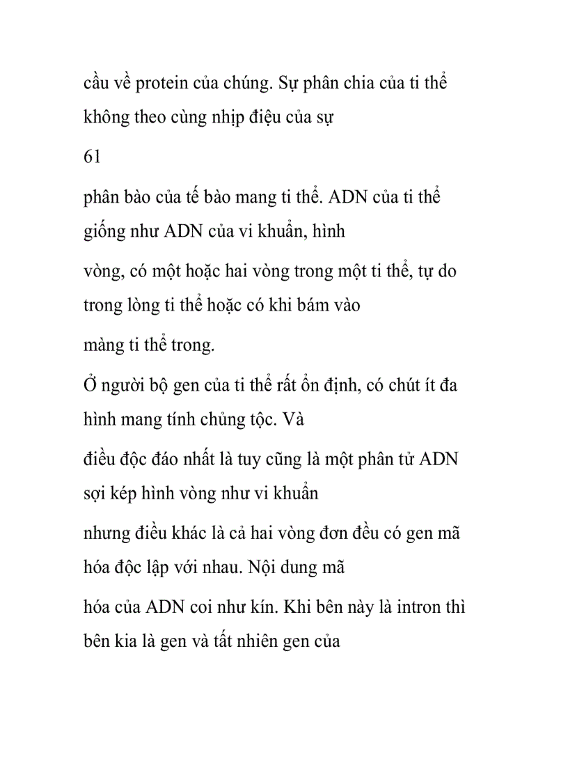 image for page ADN ti thể