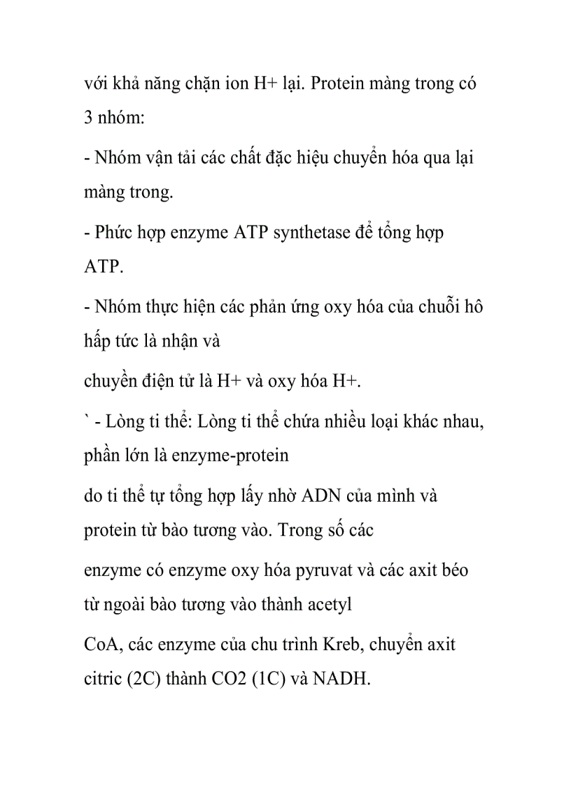 image for page Ti thể