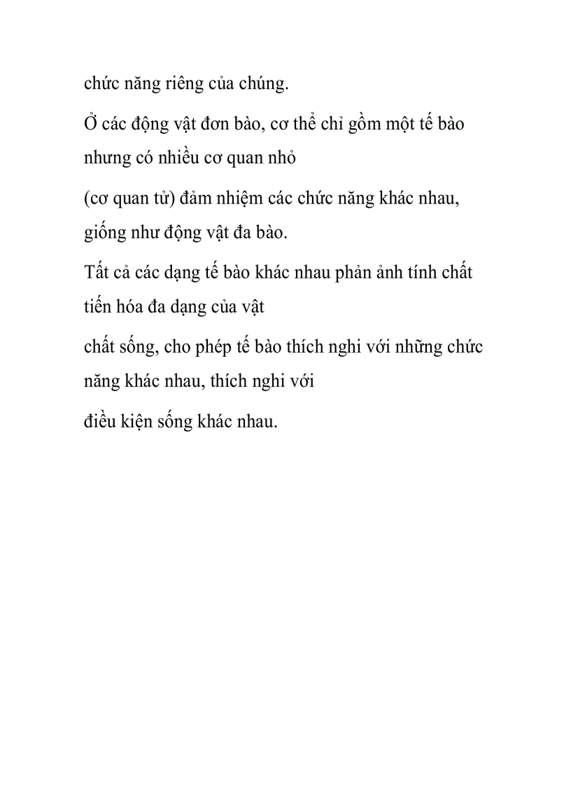 image for page Cấu trúc đại cương của tế bào nhân thực Eukaryota