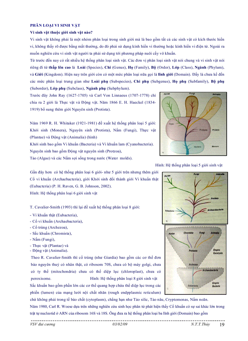 image for page Bài giảng môn học vi sinh vật đại cương
