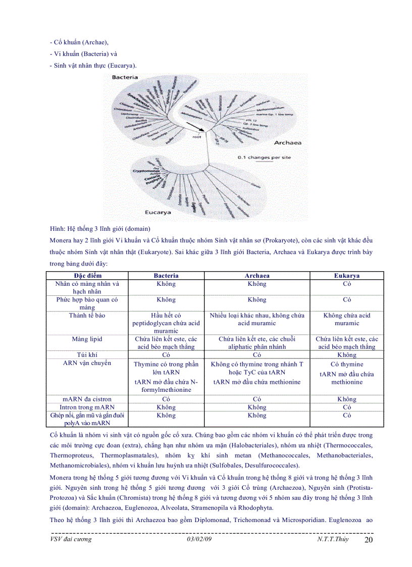 image for page Bài giảng môn học vi sinh vật đại cương