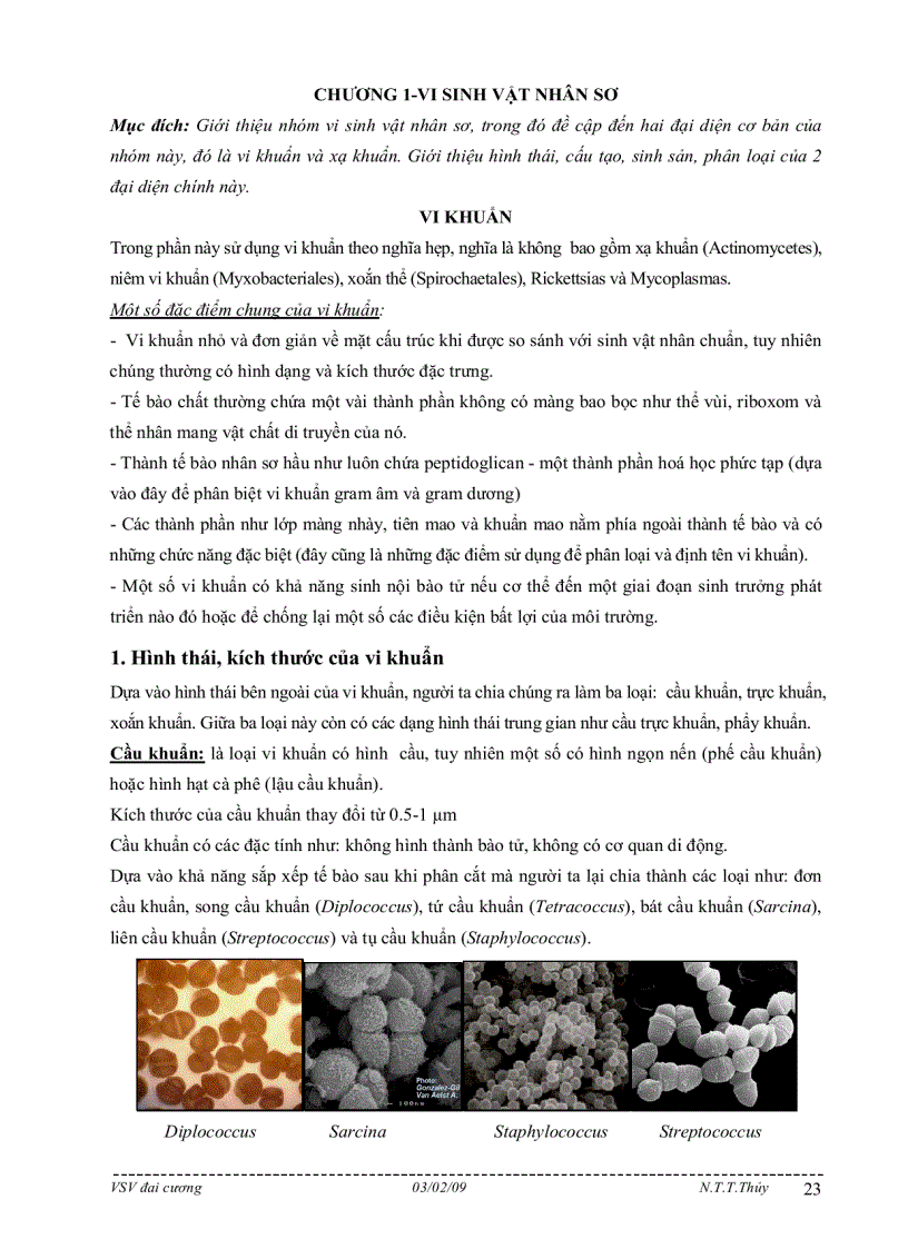 image for page Bài giảng môn học vi sinh vật đại cương