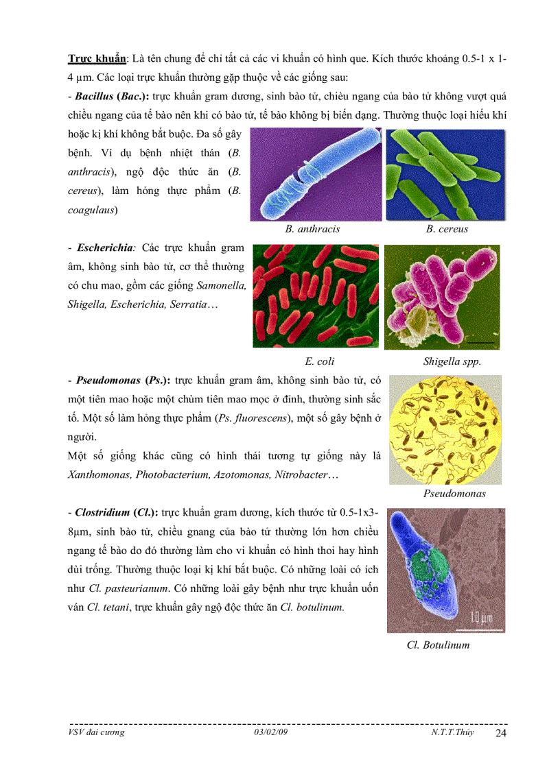 image for page Bài giảng môn học vi sinh vật đại cương