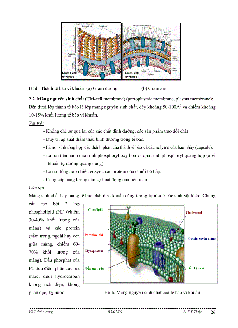 image for page Bài giảng môn học vi sinh vật đại cương
