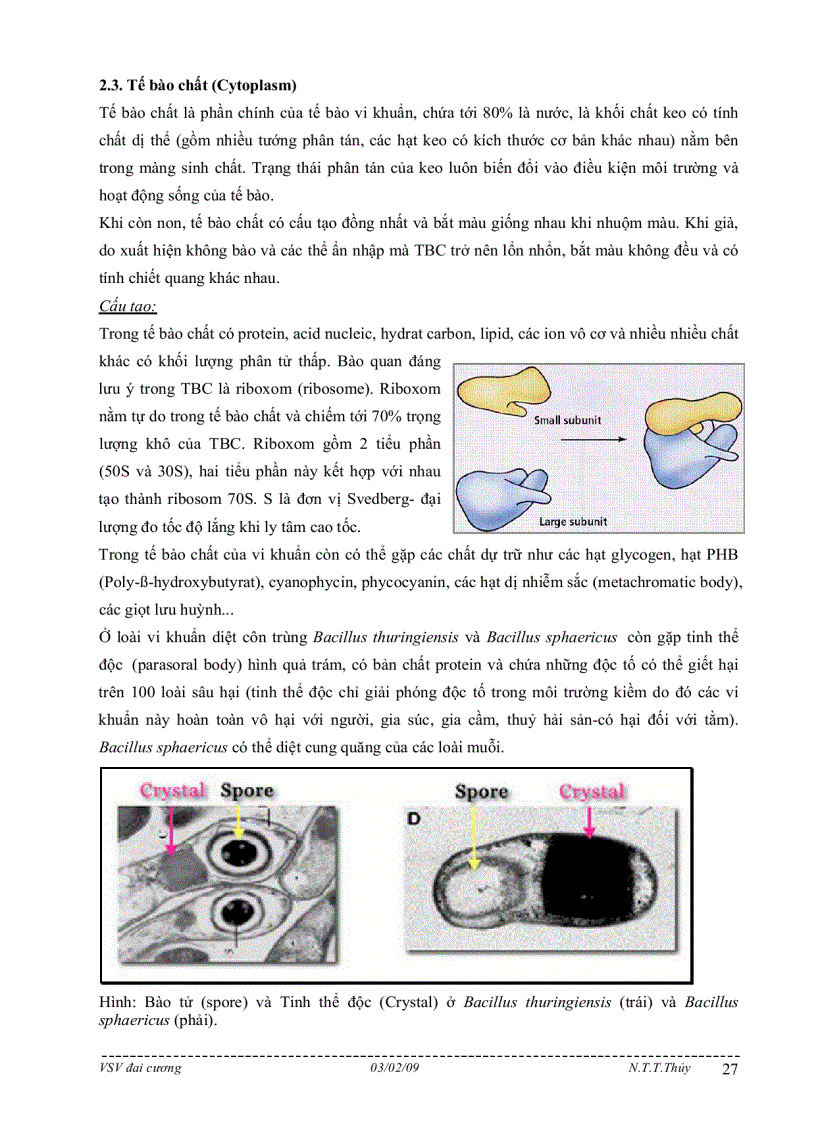 image for page Bài giảng môn học vi sinh vật đại cương